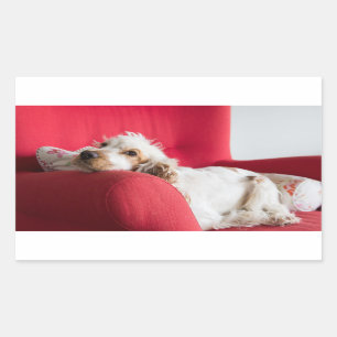 ecs - oranje en witte chilline rechthoekige sticker