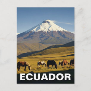 Ecuador Cotopaxi Nationaal Park reizen Briefkaart