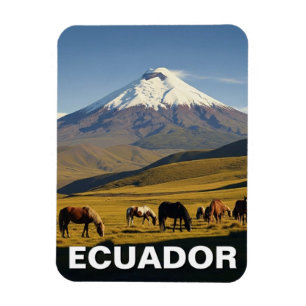 Ecuador Cotopaxi Nationaal Park reizen Magneet