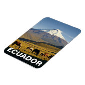 Ecuador Cotopaxi Nationaal Park reizen Magneet (Linkerzijde)