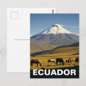 Ecuador Cotopaxi National Park travel Briefkaart (Voorkant / Achterkant)