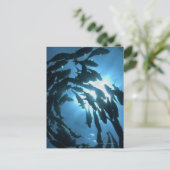 Ecuador, Galapagos archipel, Wolf Island Briefkaart (Staand voorkant)