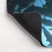 Ecuador, Galapagos archipel, Wolf Island Muismat (Hoek)