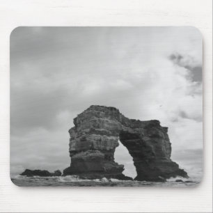 Ecuador, Galapagos-eilanden, Darwin-eiland, Golven Muismat