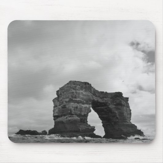 Ecuador, Galapagos-eilanden, Darwin-eiland, Golven Muismat (Voorkant)