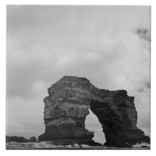 Ecuador, Galapagos-eilanden, Darwin-eiland, Golven Tegeltje