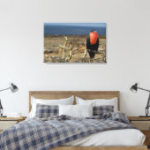 Ecuador, Galapagos, Genovesa-eiland. Prins Canvas Afdruk (Insitu (Slaapkamer))