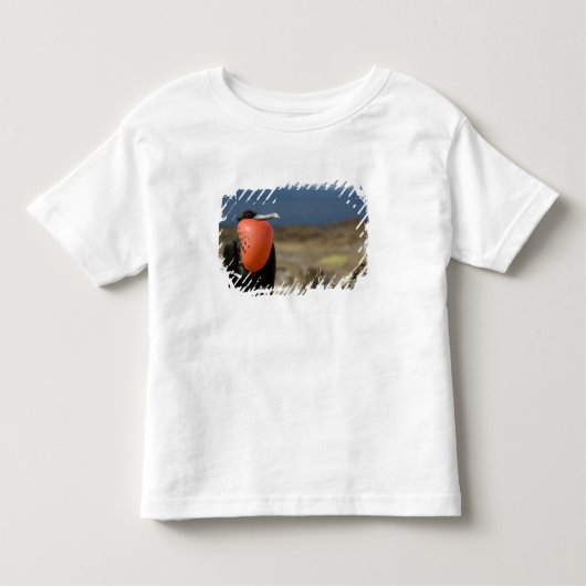 Ecuador, Galapagos, Genovesa-eiland. Prins Kinder Shirts (Voorkant)