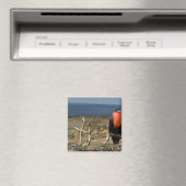 Ecuador, Galapagos, Genovesa-eiland. Prins Magneet (Insitu (Vaatwasser))