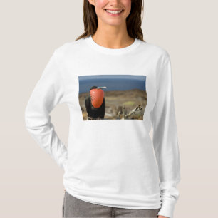 Ecuador, Galapagos, Genovesa-eiland. Prins T-shirt