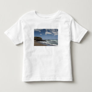 Ecuador, Galapagos, Santiago (ook bekend als James Kinder Shirts