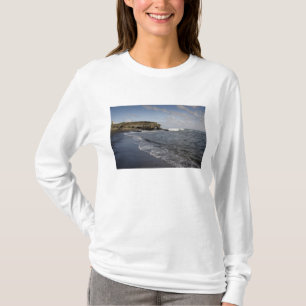 Ecuador, Galapagos, Santiago (ook bekend als James T-shirt
