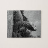 Ecuador, nationaal park Galapagos, Santa Legpuzzel (Horizontaal)