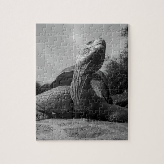 Ecuador, nationaal park Galapagos, Santa Legpuzzel (Verticaal)