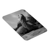 Ecuador, nationaal park Galapagos, Santa Magneet (Rechterzijde)