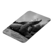 Ecuador, nationaal park Galapagos, Santa Magneet (Linkerzijde)