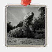 Ecuador, nationaal park Galapagos, Santa Metalen Ornament (Voorkant)