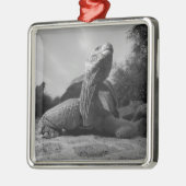 Ecuador, nationaal park Galapagos, Santa Metalen Ornament (Links)