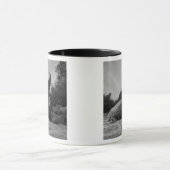 Ecuador, nationaal park Galapagos, Santa Mok (Midden)