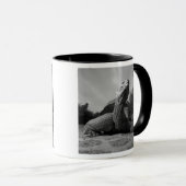 Ecuador, nationaal park Galapagos, Santa Mok (Voorkant rechts)