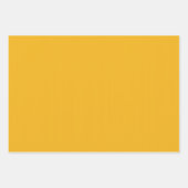 Ecuadoriaans Glas in lood Inpakpapier Vel (Voorkant 3)