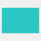 Ecuadoriaans Glas in lood Inpakpapier Vel (Voorkant 2)