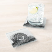 Ecuadoriaanse kluizenaar krab C. compressus Onderz Glazen Onderzetter (Schuin)