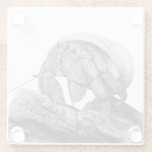 Ecuadoriaanse kluizenaar krab C. compressus Onderz Glazen Onderzetter (Achterkant)