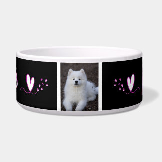 Ecula, hondenkom, kat, c-dier voerbakje