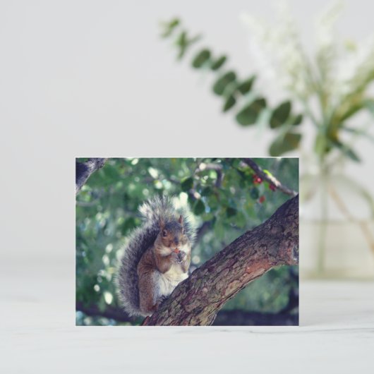 Écureuil Briefkaart (Staand voorkant)