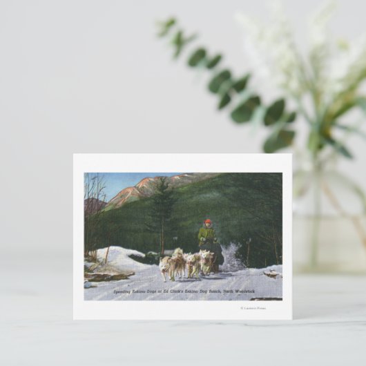 Ed Clark's Eskimo Dog Ranch, Dogsledding Briefkaart (Staand voorkant)