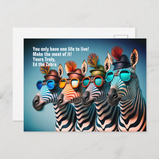 Ed de Zebra - Grappig Maak het meeste uit het leve Briefkaart (Voorkant / Achterkant)