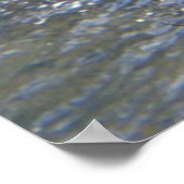 Ed en de Salmon Poster (Hoek)