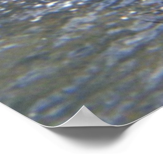 Ed en de Salmon Poster (Hoek)