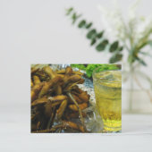 Edamame Thai Style Briefkaart (Staand voorkant)