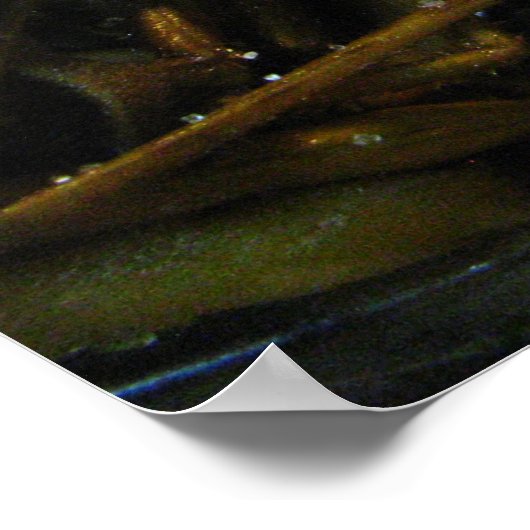 Edamame Thai Style Poster (Hoek)