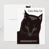 Eddie Baby Cat Briefkaart (Voorkant / Achterkant)