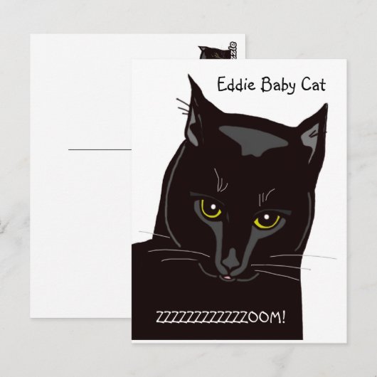 Eddie Baby Cat Briefkaart (Voorkant / Achterkant)