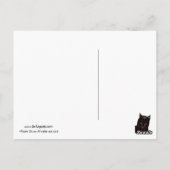 Eddie Baby Cat Briefkaart (Achterkant)