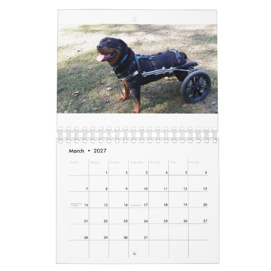 Eddie's Wheels 2016 Kalender (Mar 2027)
