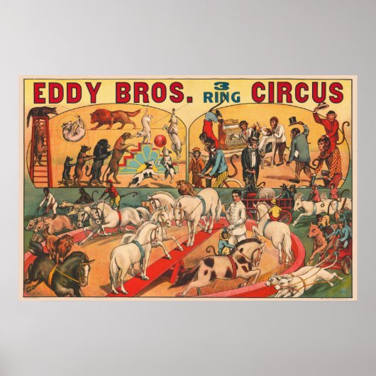  Eddy Brothers Circus Poster (Voorkant)
