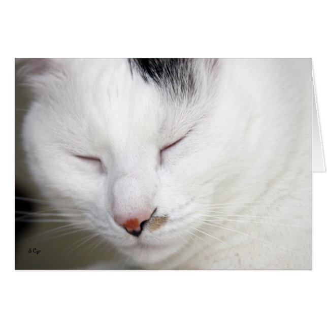 Edel 2 blanco (Voorkant Horizontaal)