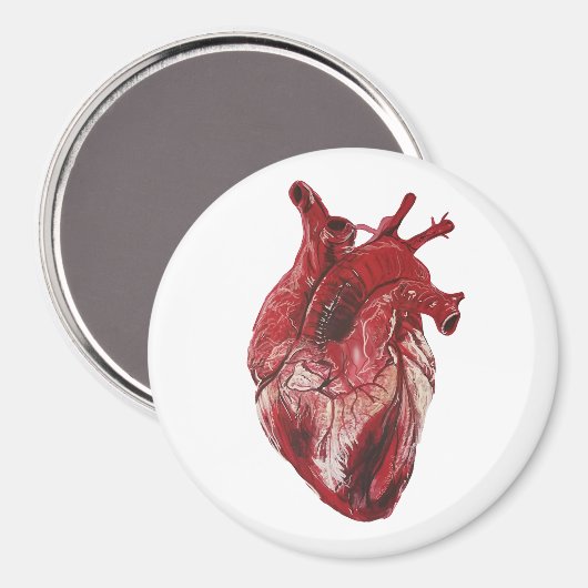 Edel hart magneet (Voorkant / Achterkant)