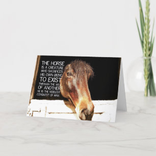 EDEL PAARDENSTOETER Kaart