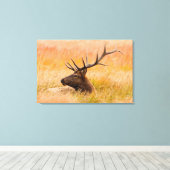 Edele herten (Cervus Elephus) rustend in weiland Canvas Afdruk (Insitu (Houten vloer))