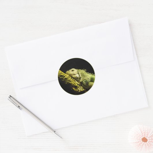 Edele Iguana Stickers (Envelop)
