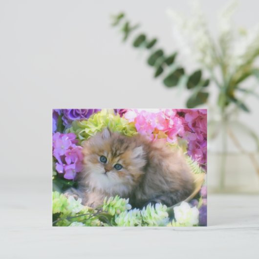 edele katjes briefkaart (Staand voorkant)