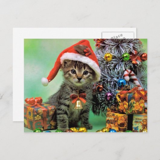 edele kerstkat feestdagenkaart (Voorkant / Achterkant)