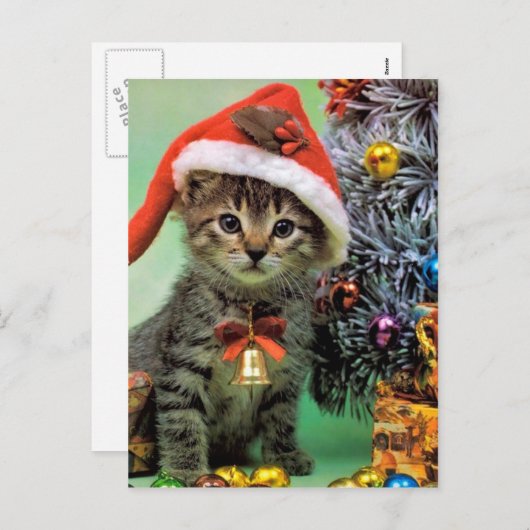 edele kerstkat feestdagenkaart (Voorkant / Achterkant)