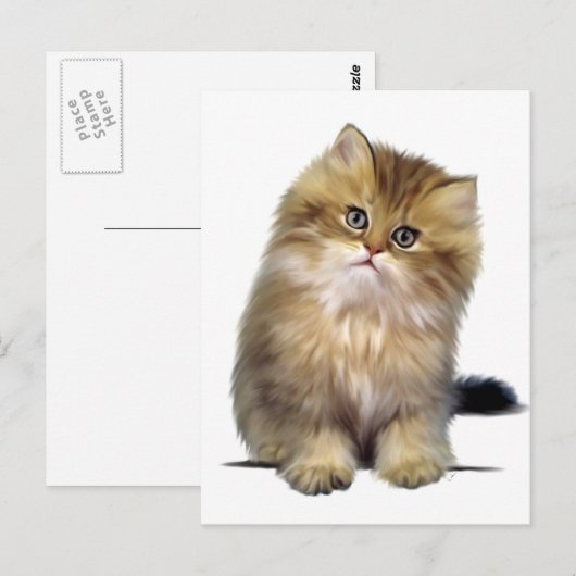 edele Kitten Briefkaarten (Voorkant / Achterkant)